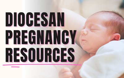 diocesan_pregnancy_resources