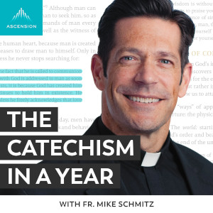 The Catechism in a Year